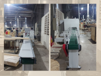 MÁY CẮT KHUYẾT TẬT GỖ CHỌN PHÔI TỰ ĐỘNG 6453