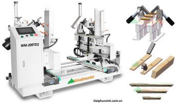 Máy khoan xéo 2 đầu tự đông WM-200TD2