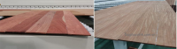 Máy May Veneer ghép ngang tải nặng dán veneer dày 2-7mm  9469
