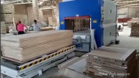 MÁY ÉP CỬA, LAMINATE TỰ ĐỘNG 2500MM 9421